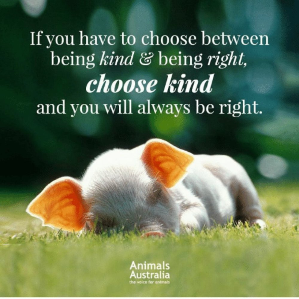 Right is right even if only you're doing it